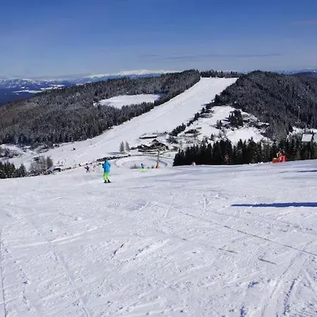 Fernblick Simonhoehe Appartamento Zirkitz