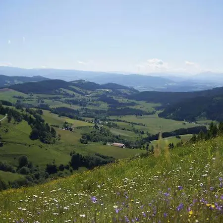 Fernblick Simonhoehe Appartamento Zirkitz